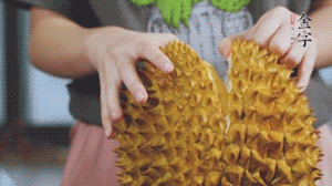 榴蓮剝好肉后，搗成泥狀。