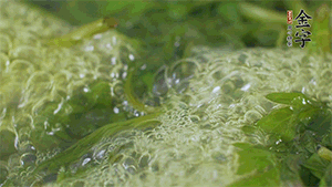 艾草葉放入煮沸的水中，加點(diǎn)食用堿，待變成深綠色時(shí)撈出，放入冰水中，瀝干備用。