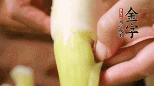 茭白剝?nèi)ネ鈿?，先切片再切絲。