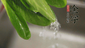 燒一鍋開水，滴一點油，水開后汆燙青菜至斷生即可。