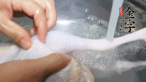 土雞處理干凈。（如果買(mǎi)不到土雞，一般的雞也是可以的，不過(guò)需要汆水。溫水下鍋汆燙7分鐘左右，汆燙時(shí)需要適時(shí)翻動(dòng)。汆燙雞肉是為了去掉生腥味，也是一次徹底清潔的過(guò)程，可以使燉出的湯清爽而不渾濁，鮮香而無(wú)異味）