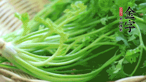 挑選鮮嫩的香菜，洗干凈后，處理成小段。