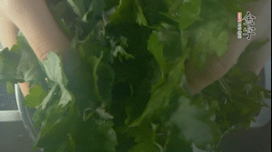 【面皮】1.鍋中水開(kāi)時(shí)，放挑揀好的艾草和一撮小蘇打，第一遍煮開(kāi)后倒掉，重新加水大火煮開(kāi)后，小火煮1小時(shí)。煮爛的艾草用紗布瀝干。