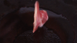 鍋中倒入橄欖油燒熱，放入淡火腿小火煸炒至打卷狀態(tài)。