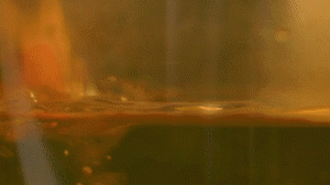 雞肉、鹽、料酒入冷水鍋水開(kāi)后撇去浮沫，溫水洗凈。