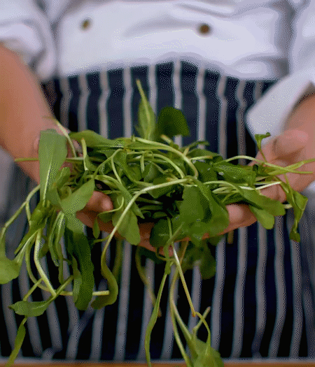 馬蘭頭焯水，切成細(xì)末。